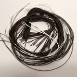 SPECTRA LINES BASE